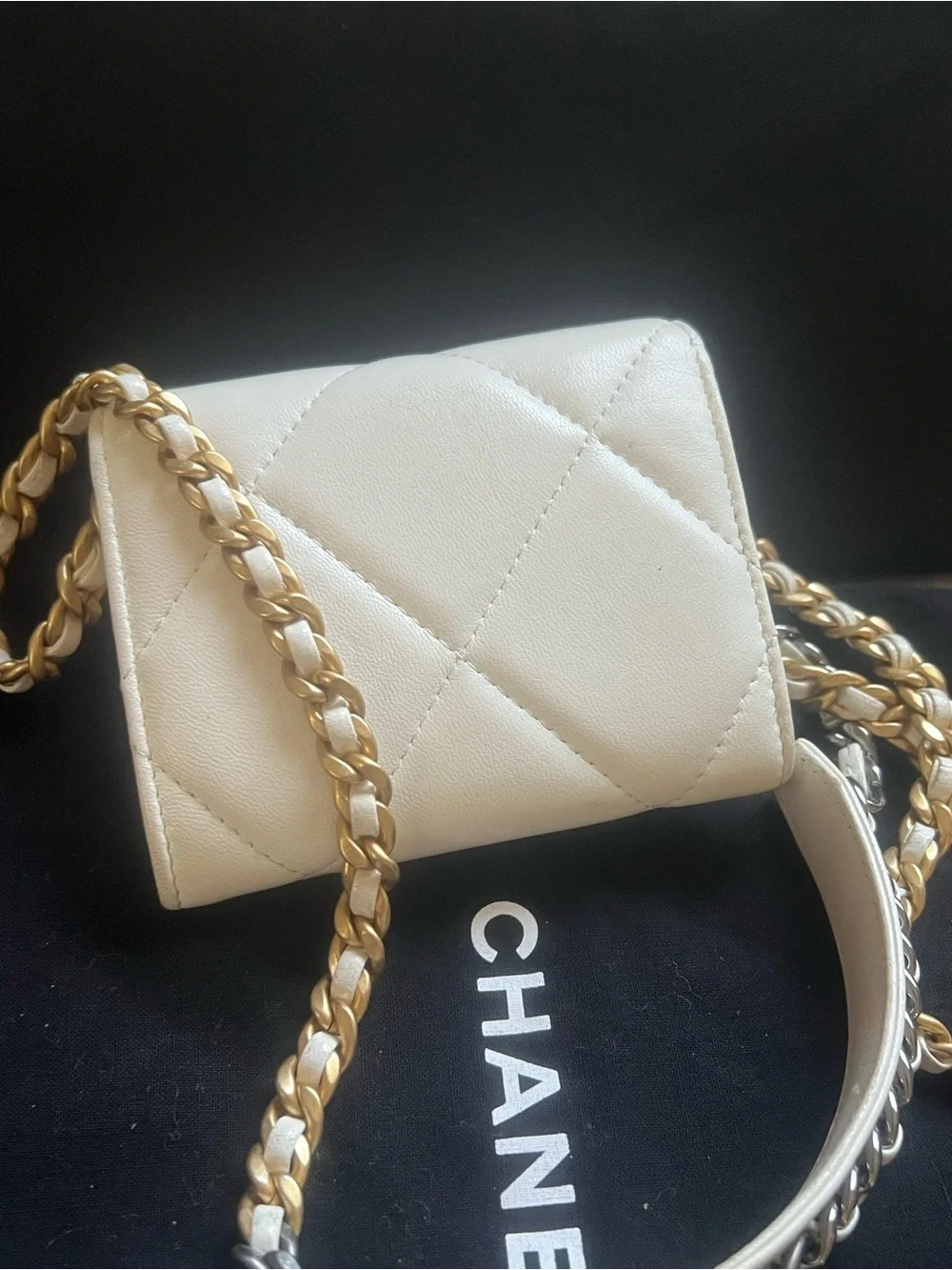 Chanel 19 Coin Purse/ Cardholder Crossbody